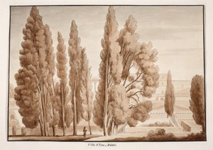 1833年的埃斯特别墅（用棕色水洗蚀刻） 作者 阿戈斯蒂诺·托法内利