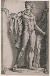 Speculum Romanae Magnificentiae: Apollo Belvedere, c. 1514-36, 约1514-36。 作者 阿戈斯蒂诺·韦内齐亚诺