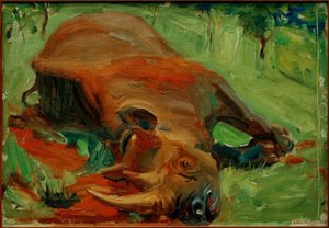 猎犀牛 作者 阿克塞利·瓦尔德马尔·加伦·卡莱拉