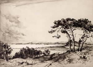 普尔（蚀刻） 作者 奥尔巴尼·霍华斯（Albany E.Howarth）