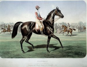 竞技。"Suzerain，1868年尚蒂伊德比的冠军" 阿尔伯特-亚当（1833-）的石版画作品 私人收藏