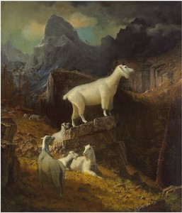 落基山羊，c.1885年作（布面油画） 作者 阿尔伯特·比尔施塔特