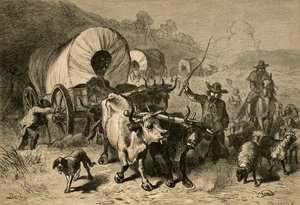 1877年移民到西方国家。