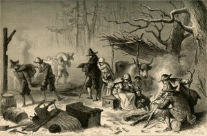 1877年在美国的英语移民。