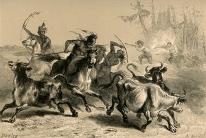 印第安人掠夺南卡罗来纳州种植园，1877年。