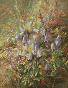 Harebells和其他Woodland Flowers und Grasses 作者 阿尔伯特·杜勒·卢卡斯