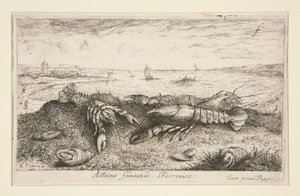 Astacus fluriatilis.L 作者 阿尔伯特·弗拉芒（Albert Flemish）
