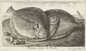 海滩上的三只小鸡 Rhombus Laeuis La Barbuë（物体上的标题） 鱼类和其他海洋动物 - 咸水第三系列（系列标题） Poissons de mer（系列名称） 作者 雅克·范梅伦