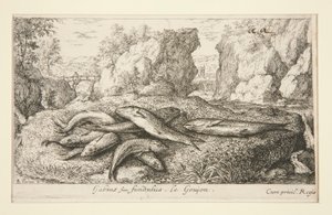 Gabius siue fundulus.Le Goujon 作者 阿尔伯特·弗拉芒（Albert Flemish）