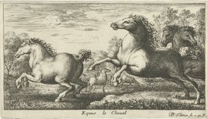 马
Equus le Cheval（物品上的标题）
各种动物（系列名称） 作者 Lodewijk XIV（法兰克国王）