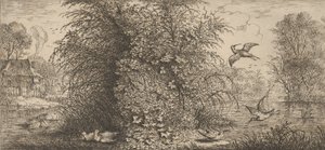 Rusticula minor, Beccassine The Snipe：Livre d