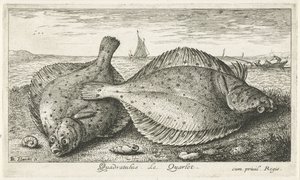 海滩上的两条鲽鱼
Quadratulus.Le Quarlet.(物体上的标题）
鱼类和其他海洋动物 - 海水第三辑（系列名称）
Poissons de mer（系列名称） 作者 阿尔伯特·弗拉芒（Albert Flemish）