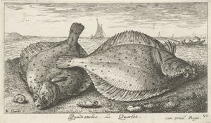 海滩上的两条鲽鱼
Quadratulus.Le Quarlet.(物体上的标题）
鱼类和其他海洋动物 - 海水第三辑（系列名称）
Poissons de mer（系列名称） 作者 阿尔伯特·弗拉芒（Albert Flemish）