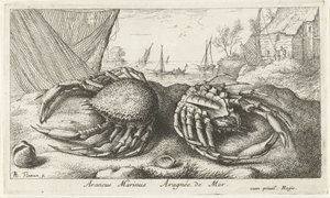 渔网旁的两只蜘蛛蟹
Araneus Marinus Aragnée de Mer（物体上的标题）
鱼类和其他海洋动物 - 海水第二辑（系列名称）
Poissons de mer（系列名称） 作者 雅克·范梅伦