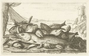与寄居蟹一起钓鱼
Diverses Especes De Poissons tant de Mer, que d