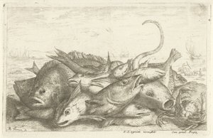 用螃蟹钓鱼
Diverses Especes De Poissons tant de Mer, que d