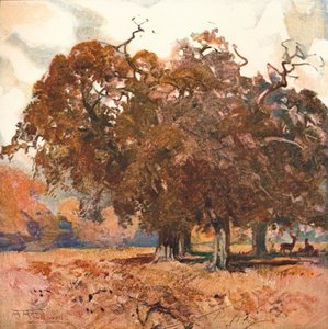风景，c1904