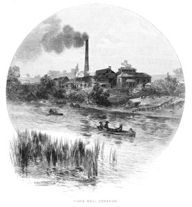 造纸厂，利物浦，新南威尔士州，澳大利亚，1886年。
