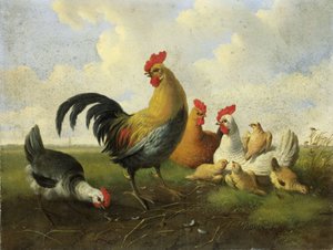一只公鸡与母鸡和小鸡 作者 Albertus Verhoesen