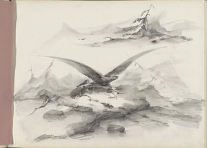 老鹰飞翔在山脉海岸上空