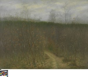 Sint-Martens-Latem 的灌木丛 作者 Albijn Van den Abeele