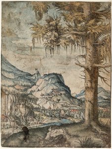 德国：大云杉 大云杉 作者 阿尔布雷希特·阿尔特多夫（Albrecht Altdorfer）