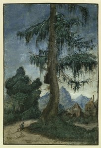 有云杉的风景，约1522年。 作者 阿尔布雷希特·阿尔特多夫（Albrecht Altdorfer）