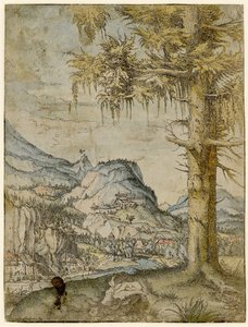 大云杉，约1517-1520年。