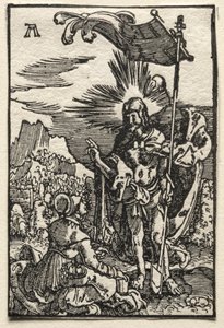 人的堕落与救赎：基督出现在圣玛格达琳，c。 1515。 作者 阿尔布雷希特·阿尔特多夫（Albrecht Altdorfer）