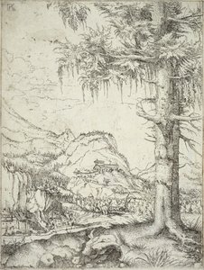 大云杉，1520 作者 阿尔布雷希特·阿尔特多夫（Albrecht Altdorfer）
