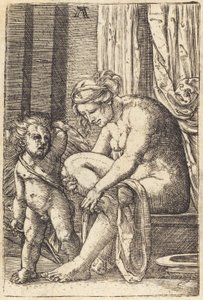 浴后维纳斯 作者 阿尔布雷希特·阿尔特多夫（Albrecht Altdorfer）