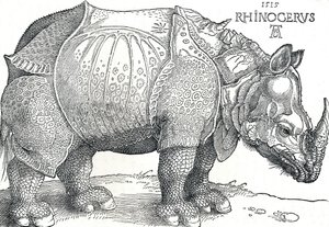 犀牛，1515年，1906年 作者 阿尔布雷希特丢勒