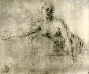 一项研究，1913年 作者 阿尔布雷希特丢勒