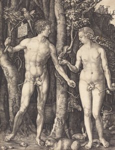 亚当和夏娃，1504年。 作者 阿尔布雷希特丢勒
