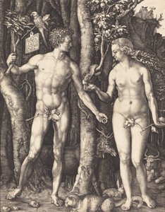 亚当和夏娃，1504年。 作者 阿尔布雷希特丢勒