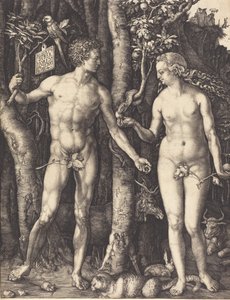 亚当和夏娃，1504年。 作者 阿尔布雷希特丢勒