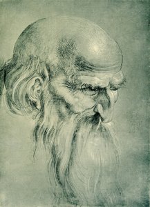 使徒头 作者 阿尔布雷希特丢勒