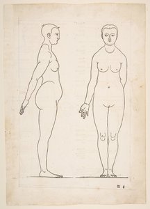 丢勒的《Vier Bucher von Menslicher Proportion》插图，纽伦堡，1528年，未注明。 作者 阿尔布雷希特丢勒