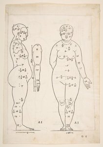 丢勒《Vier Bucher von Menslicher Proportion》中的插图，纽伦堡，1528年，未注明。 作者 阿尔布雷希特丢勒