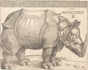 拉丁语  Rhinocerus 犀牛 作者 阿尔布雷希特丢勒