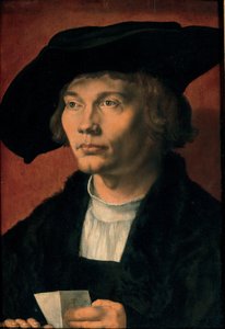 贝尔哈德·冯·里森的画像，1521年 作者 阿尔布雷希特丢勒