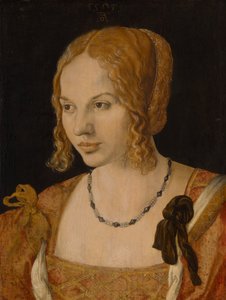 一位年轻的威尼斯女人的画像，1505年 作者 阿尔布雷希特丢勒