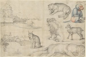动物和风景素描》，1521年。 作者 阿尔布雷希特丢勒