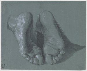 两只脚的研究 作者 阿尔布雷希特丢勒