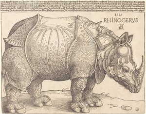 犀牛》，1515年。 作者 Albrecht Dürer