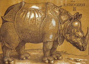 犀牛》，1515年。 作者 阿尔布雷希特丢勒