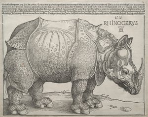 犀牛，1515年。 作者 阿尔布雷希特丢勒