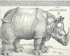 犀牛》，1515.，1515.。 作者 阿尔布雷希特丢勒