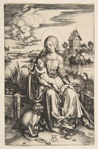 圣母子与猴子，ca。 1498。 作者 阿尔布雷希特丢勒