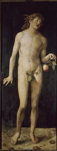 Adam (oil on wood 作者 阿尔布雷希特丢勒